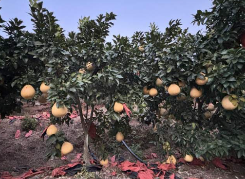 1765203618464041883.png 3.png